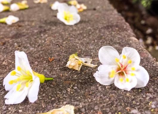 高智商的个性签名