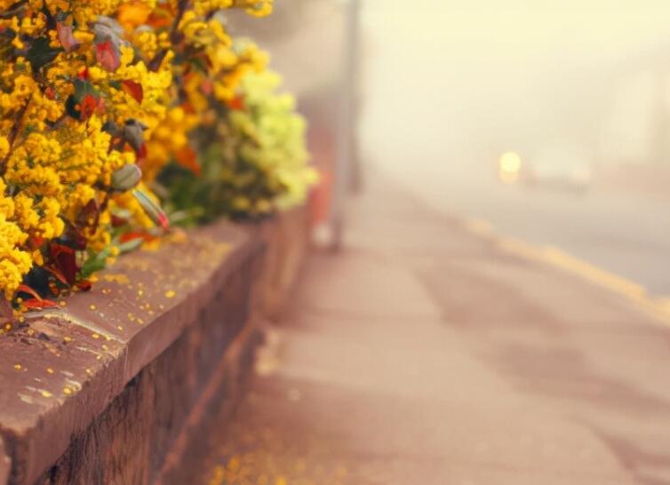 人生格言励志短句8字