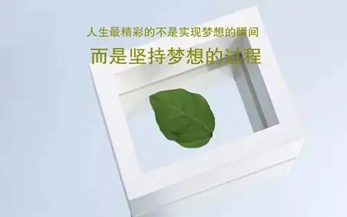 残酷又现实的话语