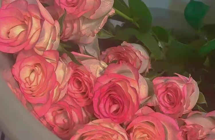 情侣甜蜜情话文案短语