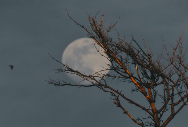 成绩差感伤句子文案