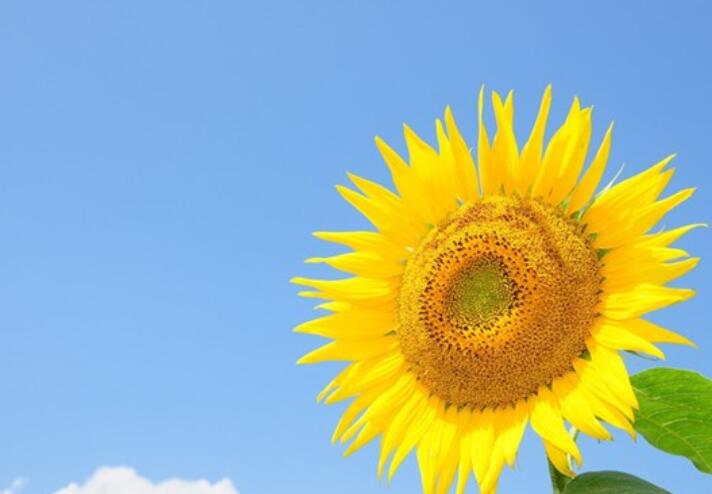 最牛B的正能量短句