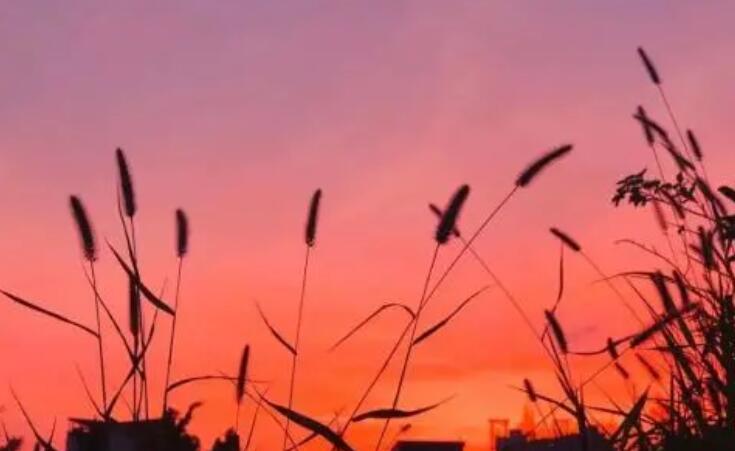 小说句子文案摘抄