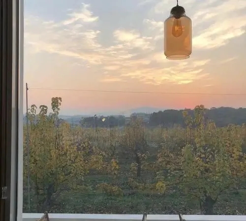 阳光文案短句小清新