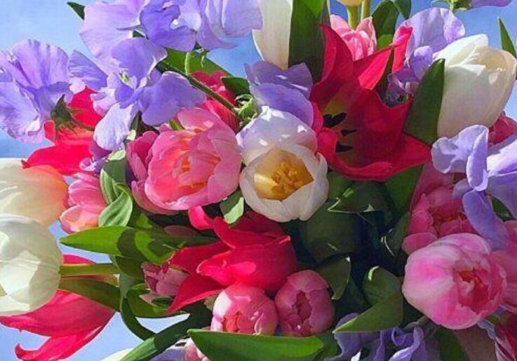 经典的感叹人生的语句文案