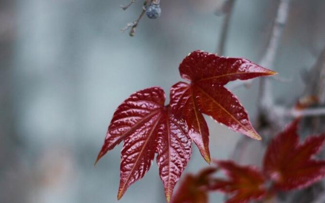 最近很压抑的说说文案