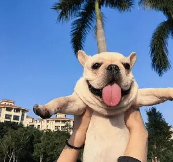 搞笑说说文案笑死人朋友圈