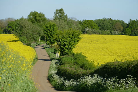 优美词句摘抄及赏析