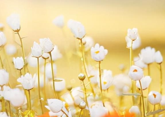 成功励志的句子文案简短