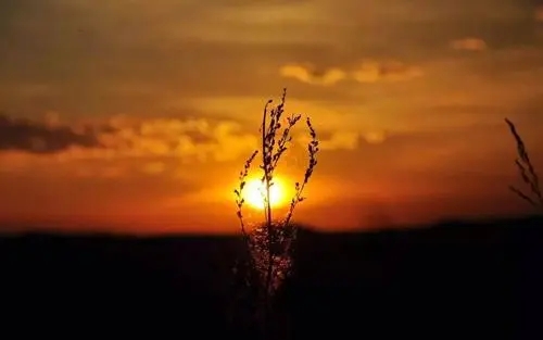 黄昏时候思念的句子文案