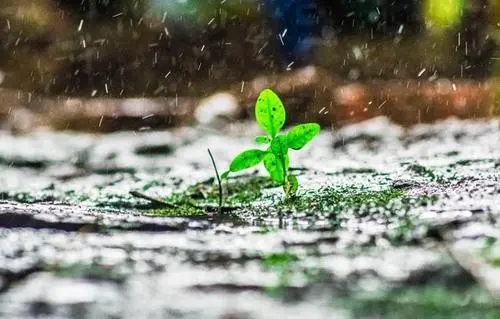 形容天气凉快舒服的诗句文案