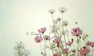 好久不见美文短语