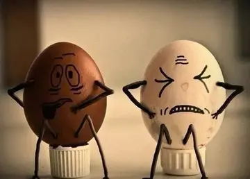 感谢信任的句子文案经典