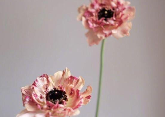 文艺高级唯美句子文案