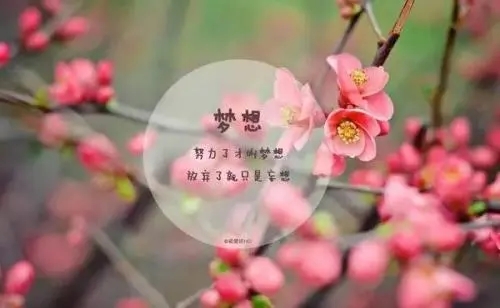 早安语录文案正能量 图片