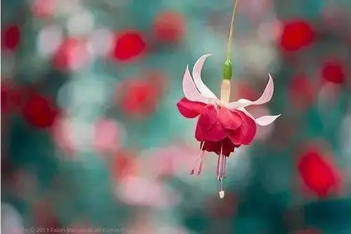 午安问候情话文案