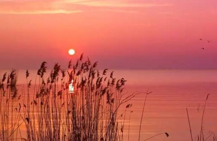 夕阳余晖的唯美诗句文案