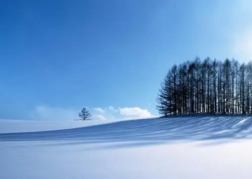 描写冬天的优美句子文案5个