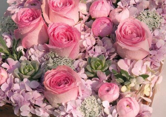 周六问候语早上温馨问候语