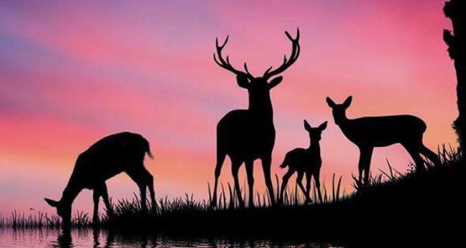 形容社会人心复杂的句子文案