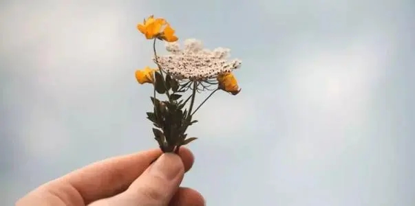 简单的话却很暖心