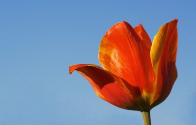 早安激励人心的话