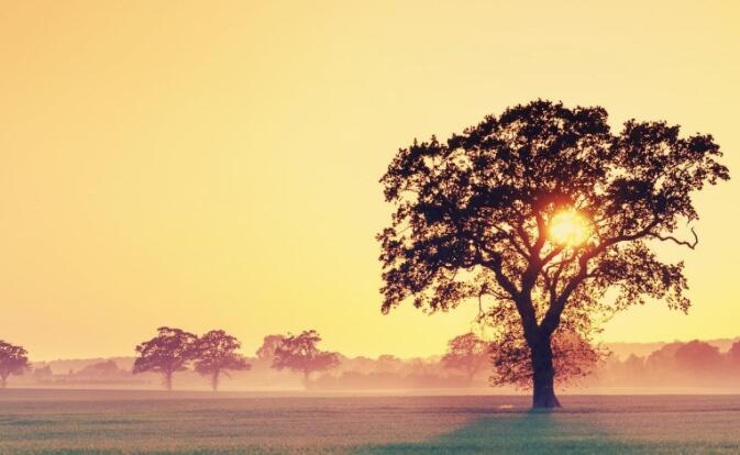 竞聘引用的名人名言