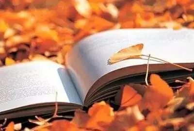 讽刺太把自己当回事的句子文案