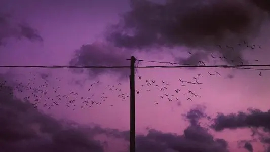 形容深夜街道安静的句子文案