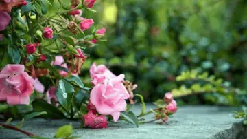 发脾气的句子文案