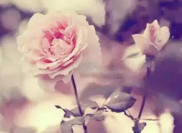 十一月的句子文案短句唯美