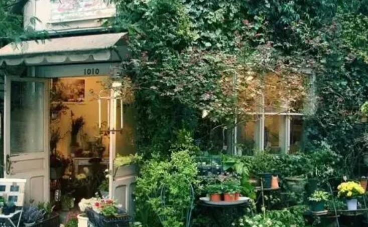 表示自己想开花店的说说文案