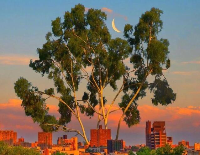 唯美抒情句子文案