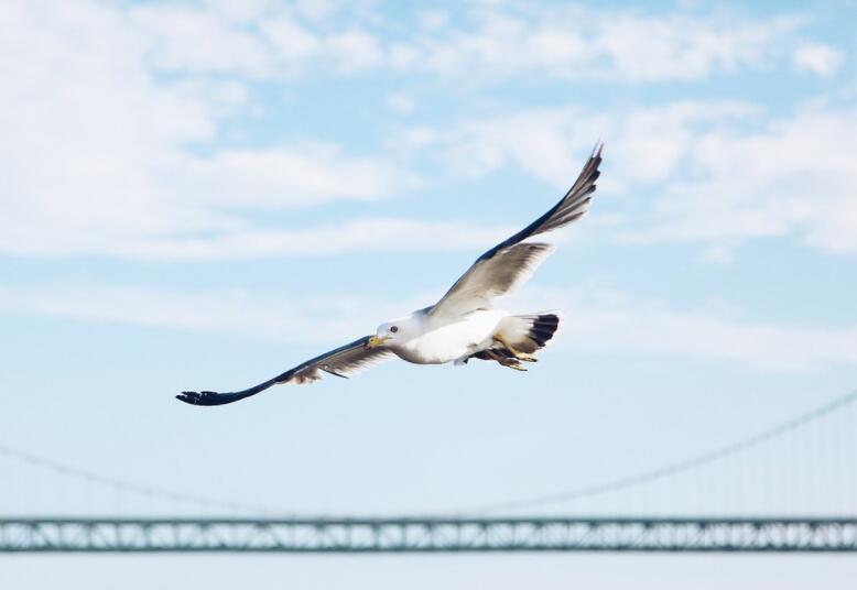 快手怎么评论别人好听