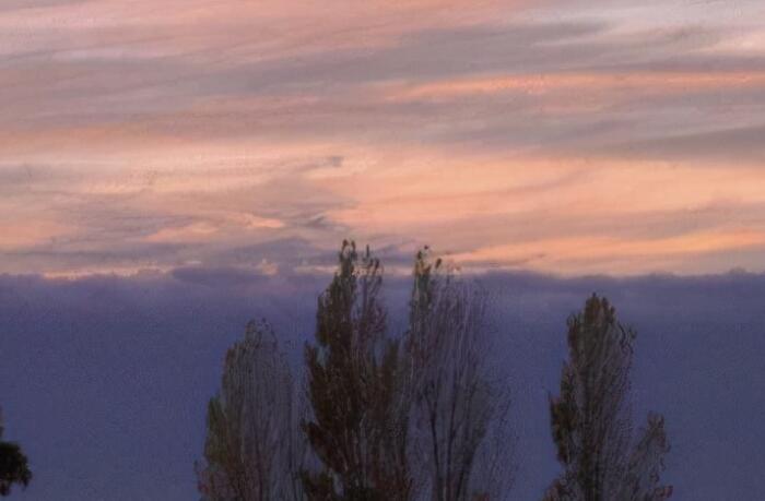 人总会长大的句子文案