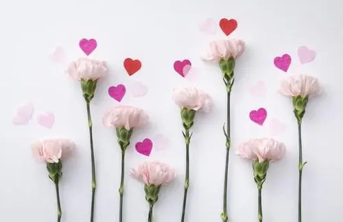 妈妈生日祝福语简短话