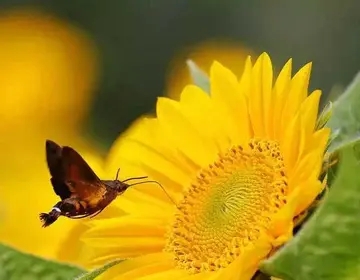 含有温暖的名言警句