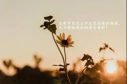 工作感悟一句话