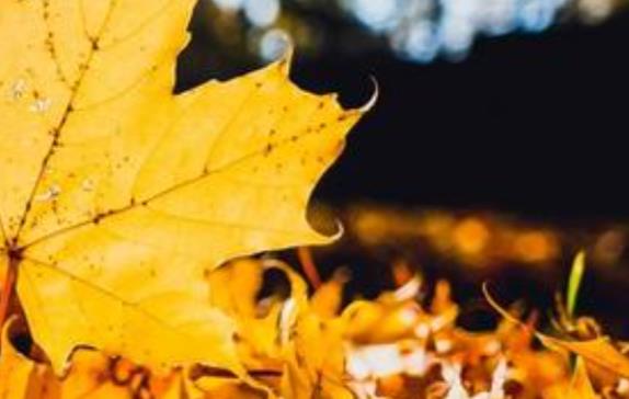 好风景配好心情的说说文案伤感