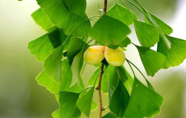 关于秋天的感慨句子文案