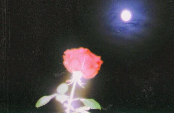 希望前任回来的句子文案