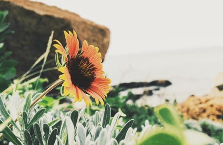 有关于反省的名人名言