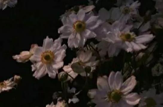 表达心情处于崩溃状态的句子文案