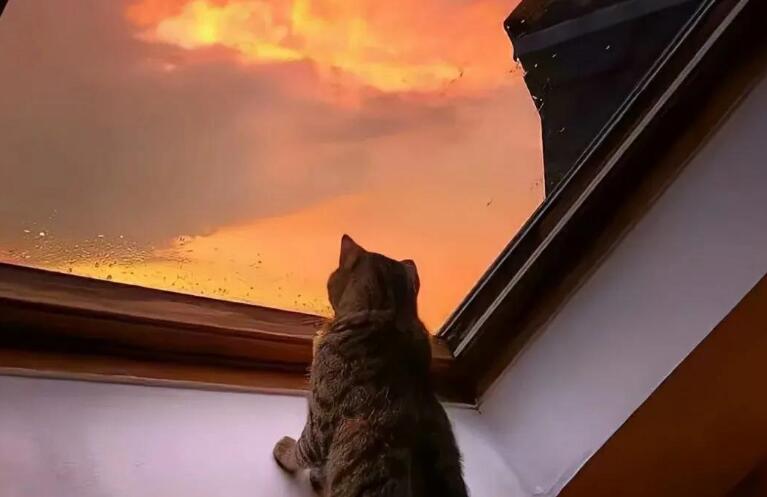 关于放弃暗恋的句子文案