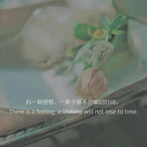 闺蜜发朋友圈的精美句子文案