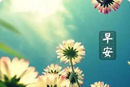 适合早上发的正能量文案