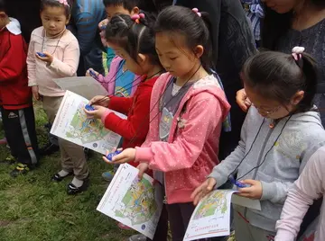 描写寻宝的句子文案