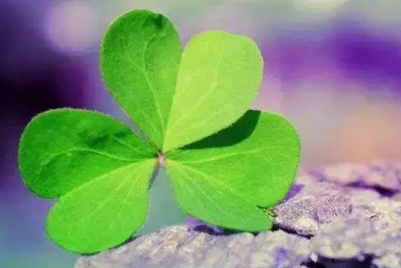 睡前心情说说文案很现实的说说文案