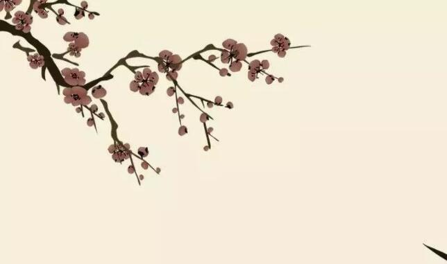 关于光的诗句文案