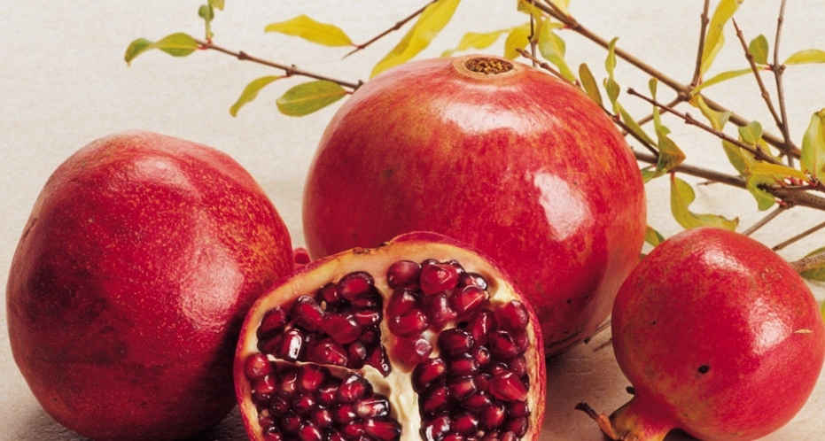 描写石榴的优美句子文案